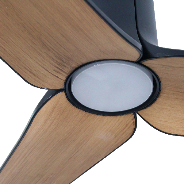 Lotus-Black-Teak-Light-Zoom-Size