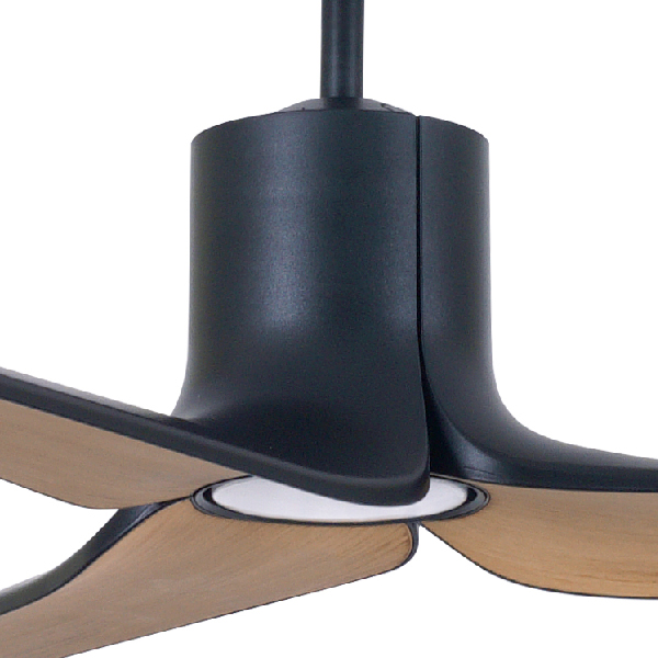 Lotus-Black-Teak-bottom-view-Light-Zoom-Size