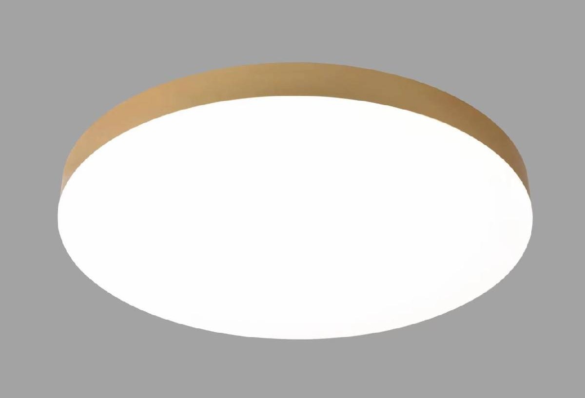 פריסבי-פליז-לאתר