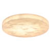 113868 36W