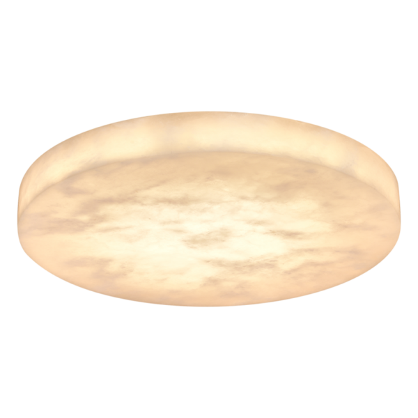 113868 36W