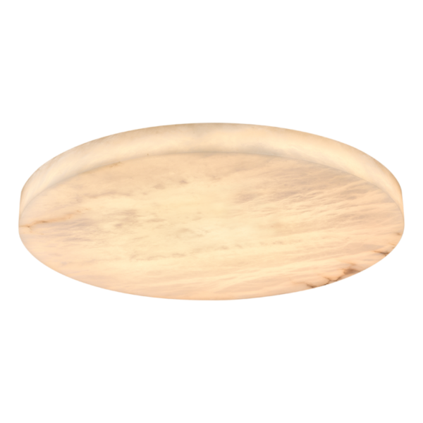 113869 48W