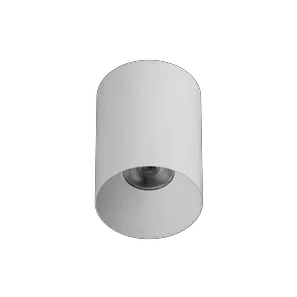 vir_RONIT_01-0007.webp(4)