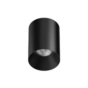 vir_RONIT_01-0008.webp(1)